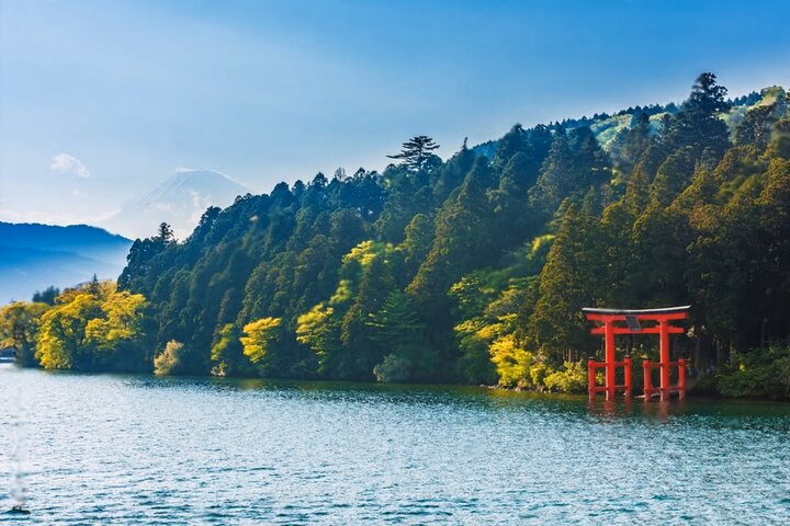 180dcc9d-fe30-41e8-b998-e1b6435cbbfb