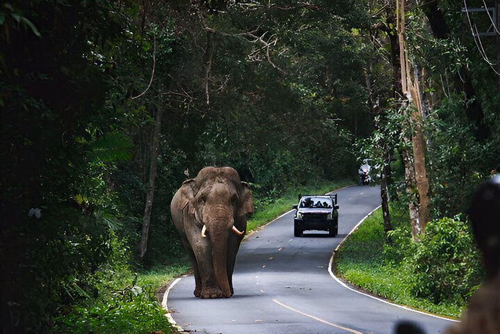 198f86c1-56b9-4fa9-b2ed-53096b453cf3