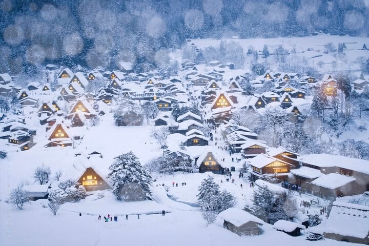 1e010230-efbb-4297-aafd-6ef8f0dedded