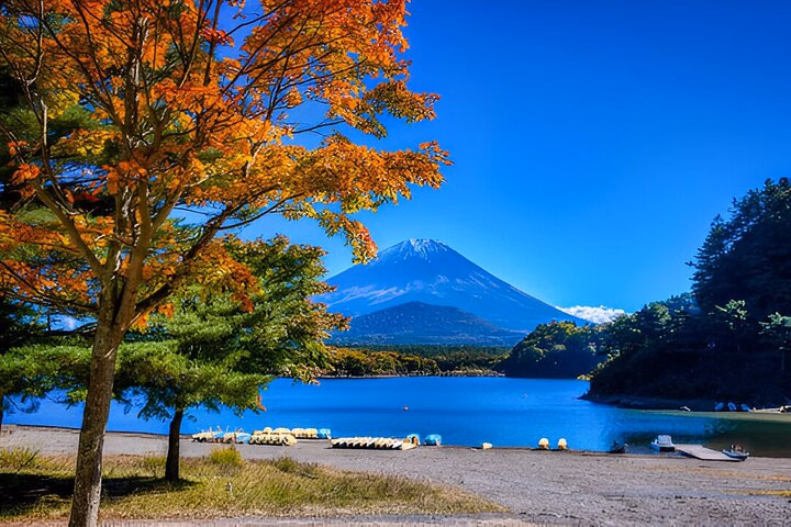 20cf5345-ae64-47ba-bab0-7de9ad7bba38