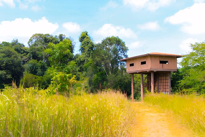 31fe0cce-e3dc-4cbe-8593-091dad3633af