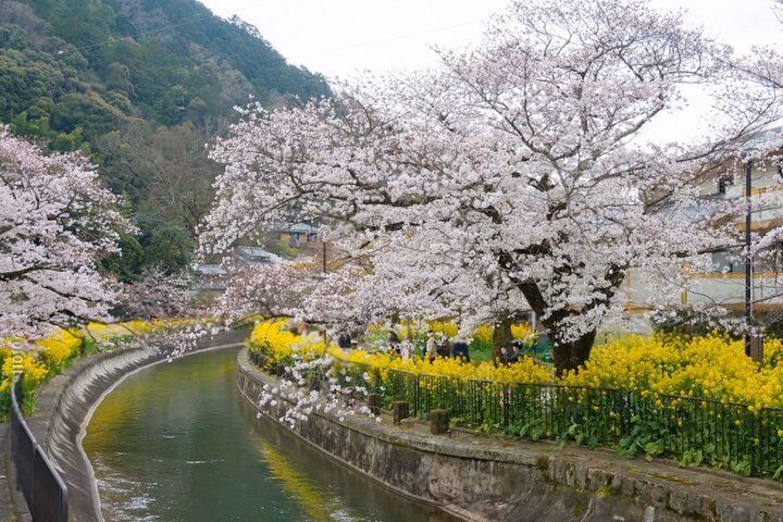 5235b165-51f1-4025-b3e4-950ce34d0532