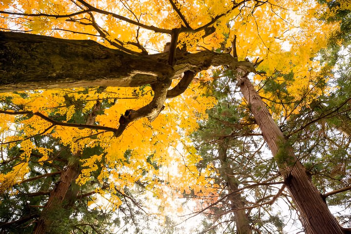 54eb9b39-ba68-4798-bc2a-08034944516b