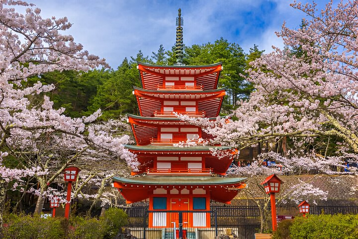 5650356e-9c96-4e79-9ed9-56a928460f09