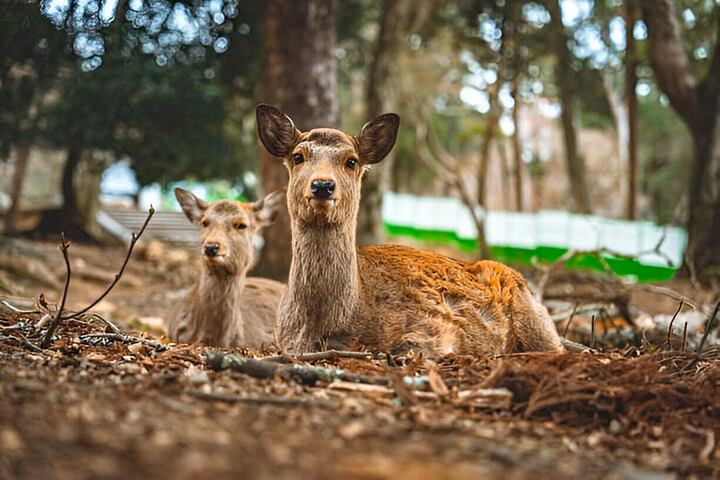 86fe205d-6071-417b-94a4-9c9a47ba3b22