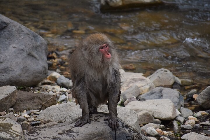 bb02cbe6-8ae5-45b3-b72d-616cb8b8403f