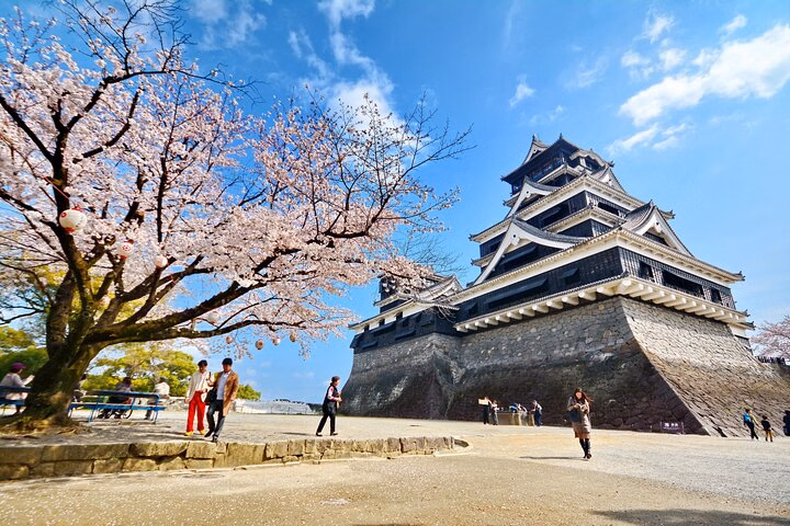 e9c536fe-46f8-43f6-a974-35b029f8bd7f