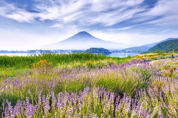 f4650ec7-81ca-4ed4-9ee9-10ea27aa90b3